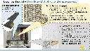 21m.webp